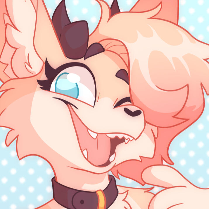 shisei profile pic